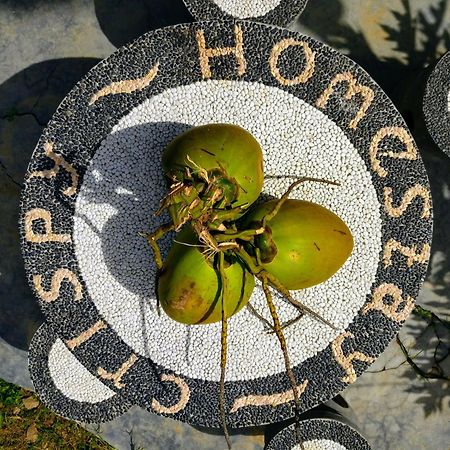 Crispycool Homestay Kuta  Dış mekan fotoğraf