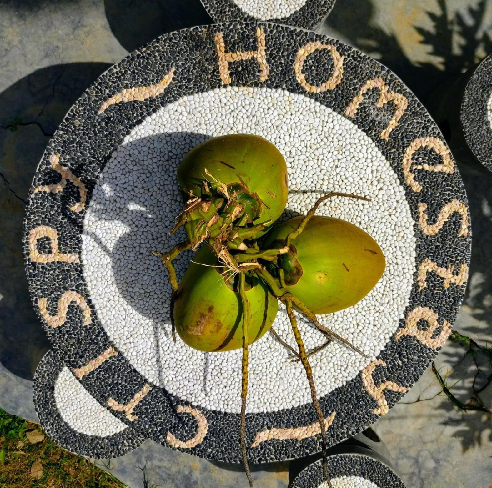 Crispycool Homestay Kuta  Dış mekan fotoğraf